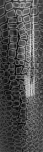 Tpu heat transfer vinyl - heat,